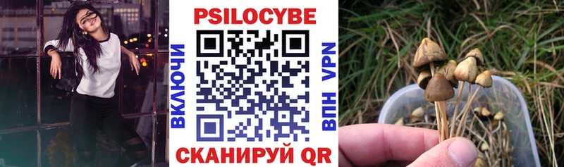 что такое наркотик  Инта  Псилоцибиновые грибы Psilocybine cubensis 